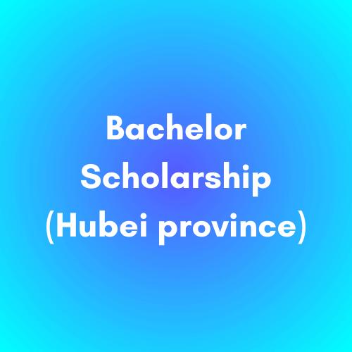 Bachelor Scholarship(Hubei province)