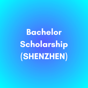 Bachelor Scholarship (SHENZHEN)